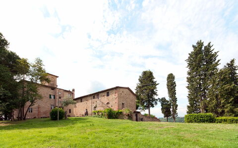 Villa Asciolo: Fabriek, Boom, Land Lot, Landelijk Gebied, Huis, Grassenfamilie, Gazon, Grasland, Tuin, Dorp