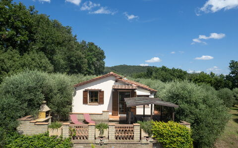 Villa Laura: Fabriek, Lucht, Wolk, Eigendom, Venster, Plantengemeenschap, Gebouw, Huis, Boom, Natuurlijk Landschap