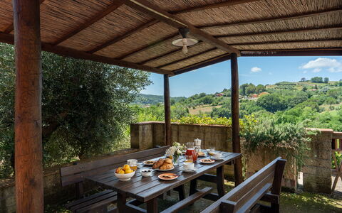 Villa Laura: Tafel, Fabriek, Meubilair, Schaduw, Hout, Veranda, Interieur Ontwerp, Wolk, Boom, Vrije Tijd