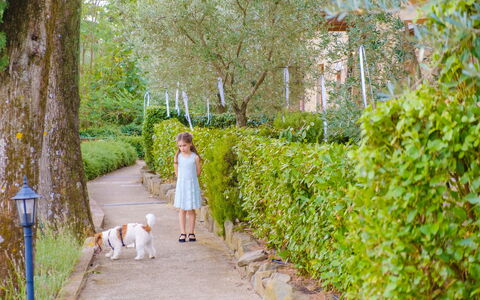 Borgo San Vincenti: Groen, Blad, Struik, De Lente, Tuin, Vrije Tijd, Recreatie, Vakantie, Zonlicht