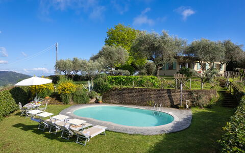 Villa Elisa: Zwembad, Buitenmeubels, Toevlucht, Landgoed, Tuin, Hacienda, Eco Hotel, Verblijf, Backyard, Werf