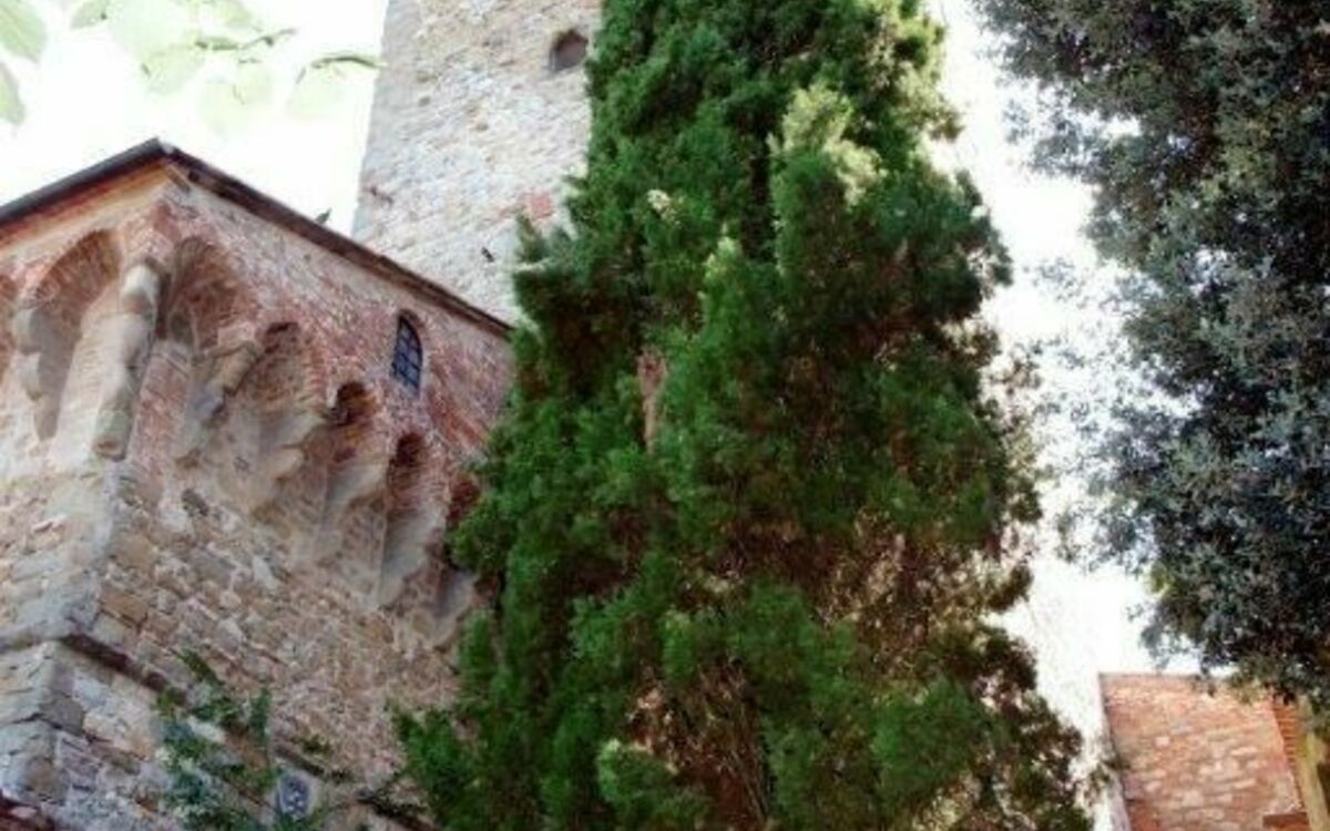 Accommodatie:&nbsp;Tower