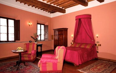 Accommodatie:&nbsp;The Duke