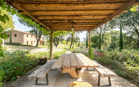 Fonte Della Chiana: Fabriek, Natuur, Schaduw, Hout, Venster, Plantkunde, Boom, Gras, Vegetation, Biome