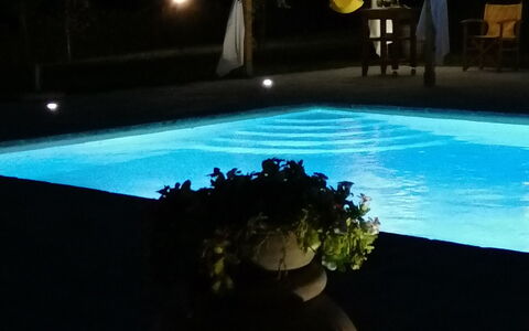 Il Pozzo Di San Barnaba: Water, Fabriek, Bloempot, Licht, Kamerplant, Lucht, Interieur Ontwerp, Rechthoek, Zwembad, Gras