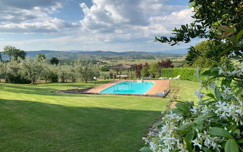 San Lorenzo: Wolk, Lucht, Fabriek, Water, Natuurlijk Landschap, Boom, Zwembad, Vegetation, Land Lot, Gras