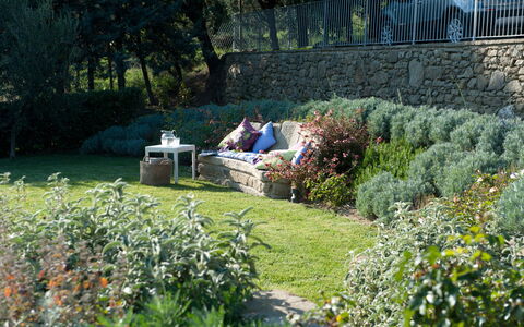 Villa Adelfa: Fabriek, Plantengemeenschap, Bloem, Boom, Vegetation, Land Lot, Natuurlijk Landschap, Gras, Haag, Buitenmeubels