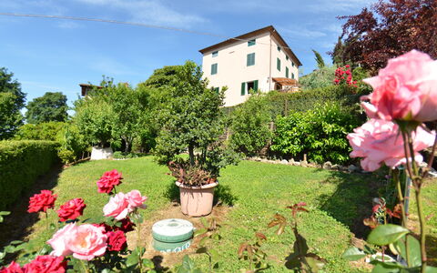 Alla Collina Del Sole: Bloem, Fabriek, Wolk, Lucht, Venster, Groen, Plantkunde, Natuur, Gebouw, Natuurlijk Landschap
