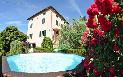 Alla Collina Del Sole: Bloem, Water, Lucht, Fabriek, Eigendom, Dag, Wolk, Groen, Gebouw, Blauw