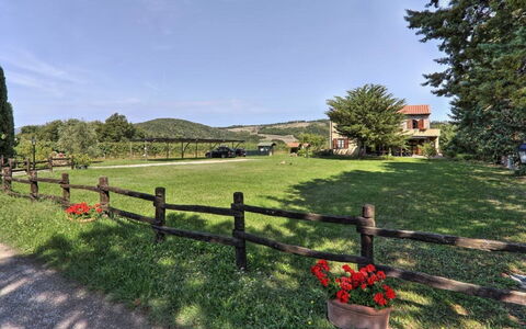 Villa Le Selvole: Lucht, Fabriek, Wolk, Boom, Natuurlijk Landschap, Hek, Land Lot, Gras, Struik