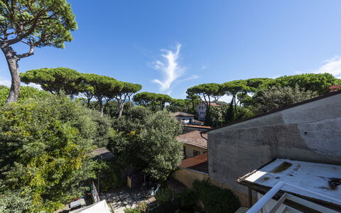 Residenza Morin: Wolk, Lucht, Fabriek, Gebouw, Boom, Stedelijk Ontwerp, Arecales, Landschap, Cumulus, Gras