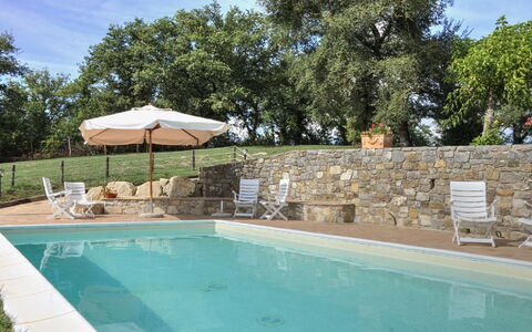 Villa Di Gaiole: Water, Fabriek, Zwembad, Lucht, Azure, Boom, Stoel, Schaduw, Wolk, Zwemwater