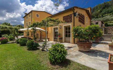 Villa Castellaccio: Fabriek, Lucht, Wolk, Eigendom, Gebouw, Venster, Land Lot, Huis, Vegetation, Boom