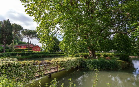 Villa Guasperini: Water, Fabriek, Groen, Natuurlijk Landschap, Boom, Wolk, Waterloop, Zwemwater, Meer, Bank