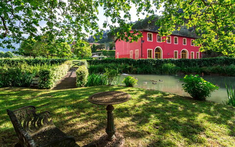 Villa Guasperini: Fabriek, Gebouw, Venster, Natuur, Blad, Boom, Natuurlijk Landschap, Vegetation, Huis, Land Lot