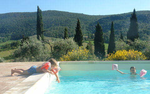 Tenuta Le Sodole: Water, Eigendom, Lucht, Zwembad, Boom, Azure, Zwemwater, Fabriek, Buitenmeubels