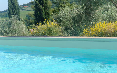 Accommodatie:&nbsp;Papavero Holiday Home