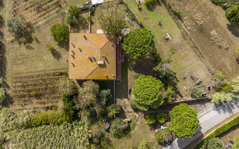 Holiday Home Giannella: Fabriek, Eigendom, Land Lot, Gebouw, Vegetation, Gras, Stedelijk Ontwerp, Biome, Natuurlijk Landschap, Woongebied