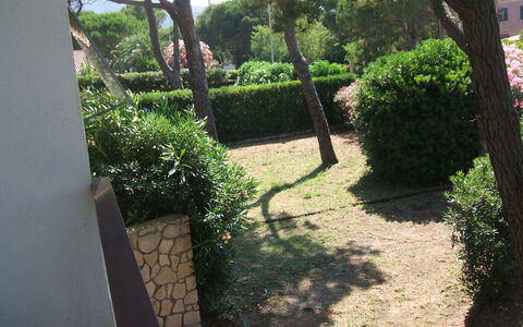 Casa Argentario: Fabriek, Eigendom, Blad, Plantkunde, Natuur, Boom, Vegetation, Schaduw, Land Lot, Weg Oppervlak