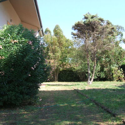 Casa Argentario: Fabriek, Eigendom, Lucht, Boom, Land Lot, Weg Oppervlak, Schaduw, Gras, Groundcover, Natuurlijk Landschap