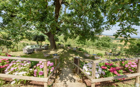 Villa Varna: Bloem, Fabriek, Plantengemeenschap, Boom, Petal, Natuurlijk Landschap, Bloempot, Gras, Groundcover, Struik