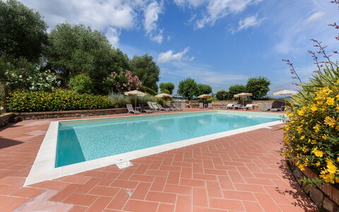 Villa Varna: Water, Fabriek, Wolk, Lucht, Eigendom, Zwembad, Zwemwater, Boom, Bloem, Schaduw