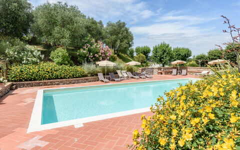 Villa Varna: Water, Wolk, Lucht, Fabriek, Zwembad, Bloem, Boom, Zwemwater, Gras, Vrije Tijd