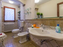 Accommodatie:&nbsp;Oasi 1