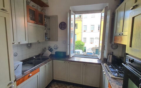 Lucida: Gootsteen, Cabinetry, Wastafel, Countertop, Kamerplant, Venster, Keuken, Hout, Kraan, Huishoudapparatuur