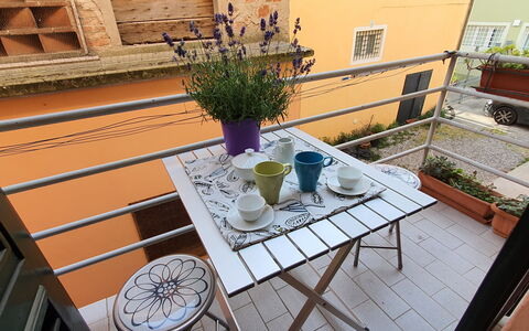 Lucida: Fabriek, Tableware, Eigendom, Venster, Tafel, Bloempot, Hout, Kamerplant, Interieur Ontwerp, Purper