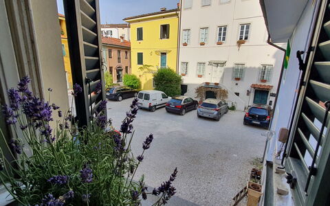 Lucida: Fabriek, Gebouw, Venster, Auto, Wiel, Bloem, Voertuig, Weg Oppervlak, Stedelijk Ontwerp