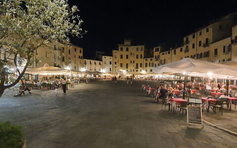 Loft Lucca: Gebouw, Tent, Fabriek, Vrije Tijd, Boom, Stad, Stedelijk Gebied, Gemengd Gebruik, Weg Oppervlak, Menselijke Nederzetting