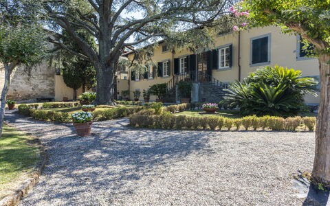 Villa San Gennaro: Fabriek, Gebouw, Eigendom, Venster, Plantkunde, Boom, Weg Oppervlak, Lucht, Vegetation, Land Lot