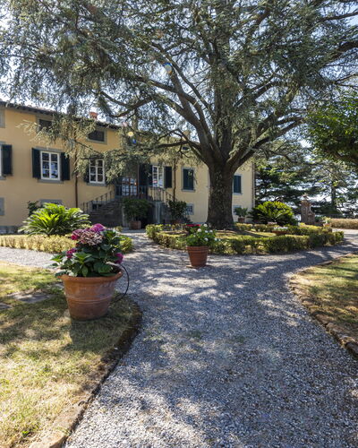 Villa San Gennaro: Fabriek, Gebouw, Venster, Boom, Lucht, Weg Oppervlak, Land Lot, Huis, Landschap, Gras