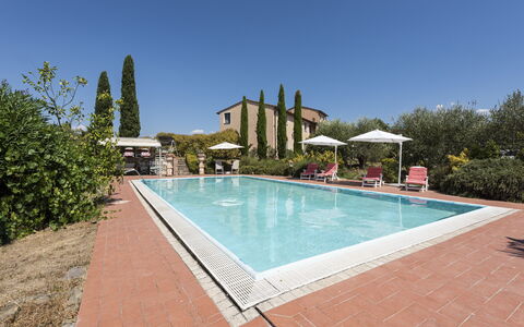 Villa Cevoli: Water, Fabriek, Zwembad, Lucht, Boom, Rechthoek, Stoel, Vrije Tijd, Schaduw, Samengesteld Materiaal