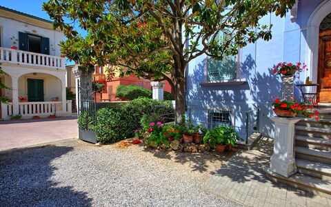 Casa Riva: Fabriek, Bloem, Gebouw, Venster, Eigendom, Bloempot, Blauw, Weg Oppervlak, Boom, Kamerplant