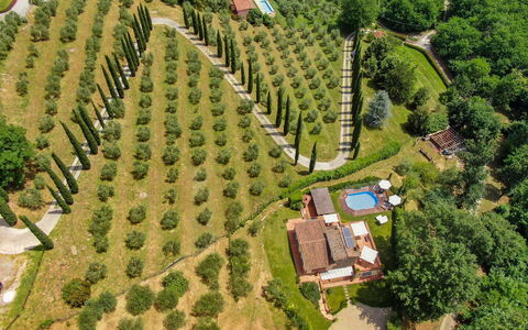 La Quiete: Fabriek, Eigendom, Natuurlijk Landschap, Land Lot, Boom, Stedelijk Ontwerp, Gebouw, Gras, Landelijk Gebied, Vrije Tijd