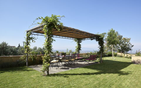 Casa Lionardo: Land Lot, Tuin, Schaduw, Buitenmeubels, Groundcover, Pergola, Outdoor Structuur, Landscaping, Bloempot