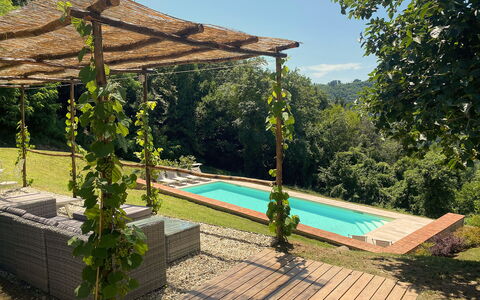 San Tommaso: Fabriek, Water, Lucht, Zwembad, Schaduw, Vegetation, Boom, Buitenmeubels, Vrije Tijd, Gras