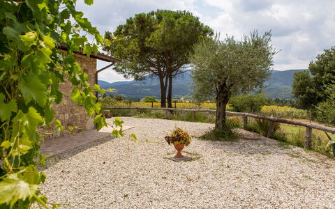 Villa Tavernacce: Lucht, Wolk, Fabriek, Plantengemeenschap, Boom, Natuurlijk Landschap, Weg Oppervlak, Land Lot, Gras, Struik