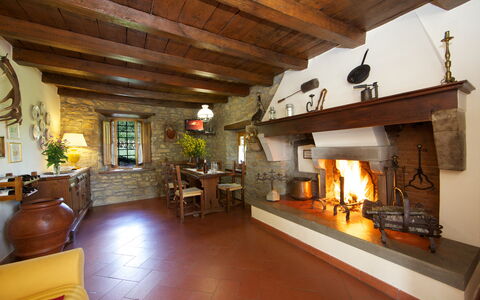 Villa Renaccio: Gebouw, Hout, Fabriek, Interieur Ontwerp, Woonkamer, Bankstel, Kamerplant, Verdieping, Straal, Bloempot