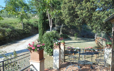 Casa Mulinello: Fabriek, Bloem, Boom, Bloempot, Buitenmeubels, Schaduw, Kamerplant, Gras, Buitentafel, Vrije Tijd