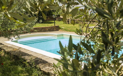 Orangerie Degli Ulivi: Water, Watervoorraden, Fabriek, Natuur, Azure, Zwembad, Plantkunde, Natuurlijk Landschap, Vegetation, Gras
