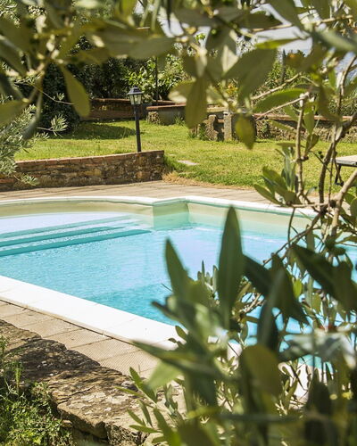 Orangerie Degli Ulivi: Water, Watervoorraden, Fabriek, Natuur, Azure, Zwembad, Plantkunde, Natuurlijk Landschap, Vegetation, Gras