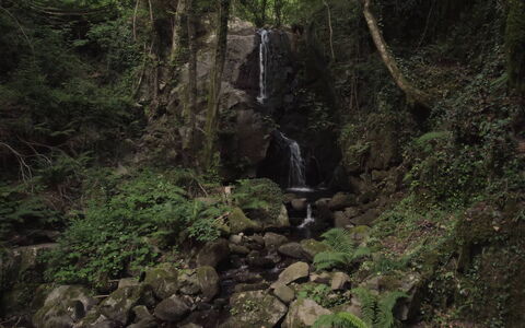 Villa In Garfagnana: Fabriek, Water, Plantengemeenschap, Natuurlijk Landschap, Waterval, Waterloop, De Lente, Plantendiversiteit, Bedrock