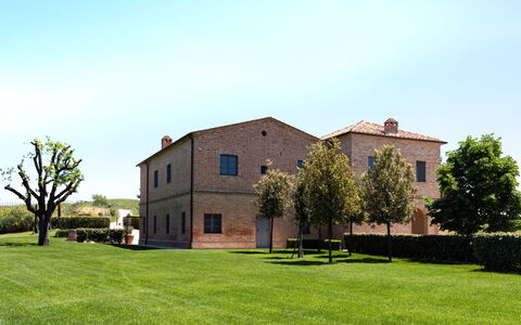 Podere D'Asso: Lucht, Fabriek, Eigendom, Gebouw, Venster, Boom, Land Lot, Gras, Huis, Deur