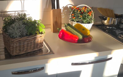 Accommodatie:&nbsp;Paradiso Deluxe