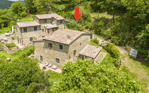Casa Bosco D'arte Holiday Home , Greve In Chianti,: Gebouw, Fabriek, Groen, Boom, Natuurlijk Landschap, Land Lot, Huis, Venster, Gras, Groundcover
