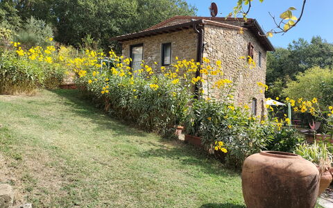 Casa Bosco D'arte Holiday Home , Greve In Chianti,: Bloem, Fabriek, Gebouw, Plantengemeenschap, Venster, Lucht, Natuurlijk Landschap, Boom, Huis, Land Lot