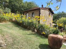 Casa Bosco D'arte Holiday Home , Greve In Chianti,